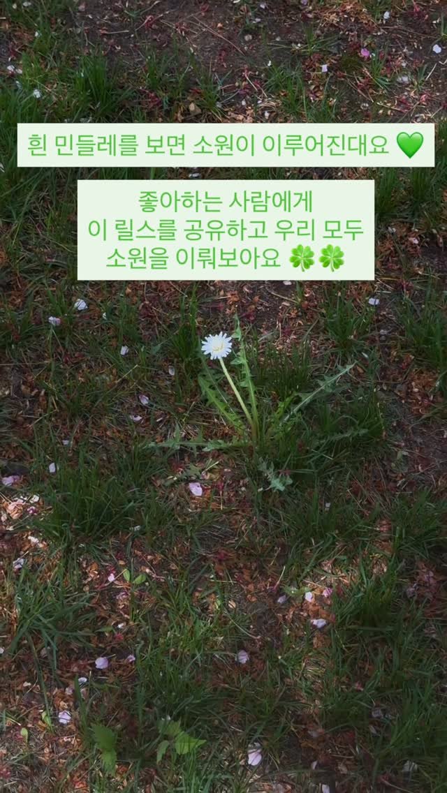 caddie_hi 게시물 이미지: 소원아 이뤄져라