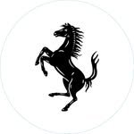 ferrariusa 프로필 사진