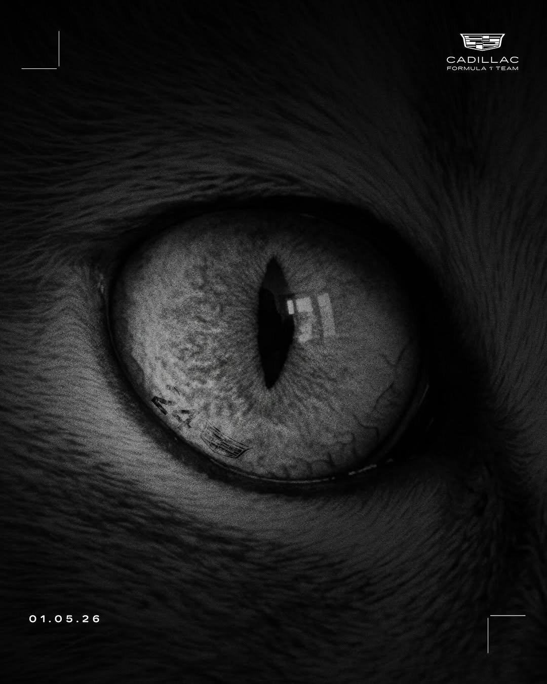 Photo by Cadillac Formula 1 Team on January 02, 2026. May be an illustration of ‎kitten and ‎text that says '‎官专 CADILLAC ML ORMULA CADILLAG LA TEAm 中 一球 智物 ג 超货 01.05.26‎'‎‎.