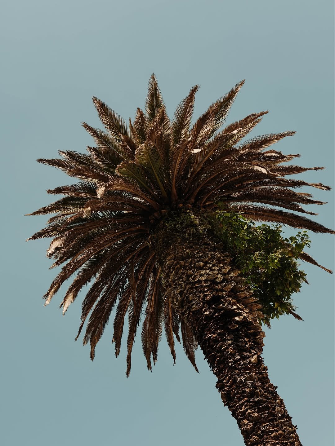 Photo by Cadillac Formula 1 Team on October 26, 2025. May be an image of palm trees and text.