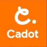 cadot_itda 인스타그램 프로필 사진