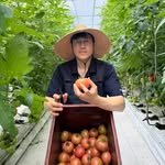 otomate.farm 프로필 사진