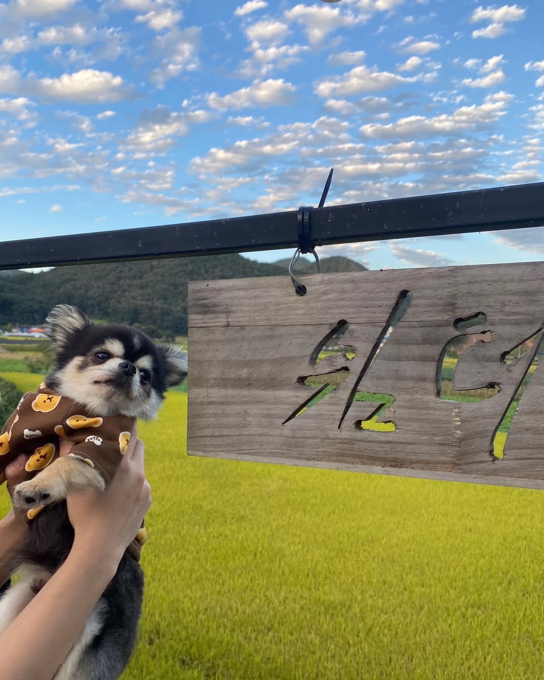 Photo by 쉼터청천 / 괴산카페 on April 30, 2025.