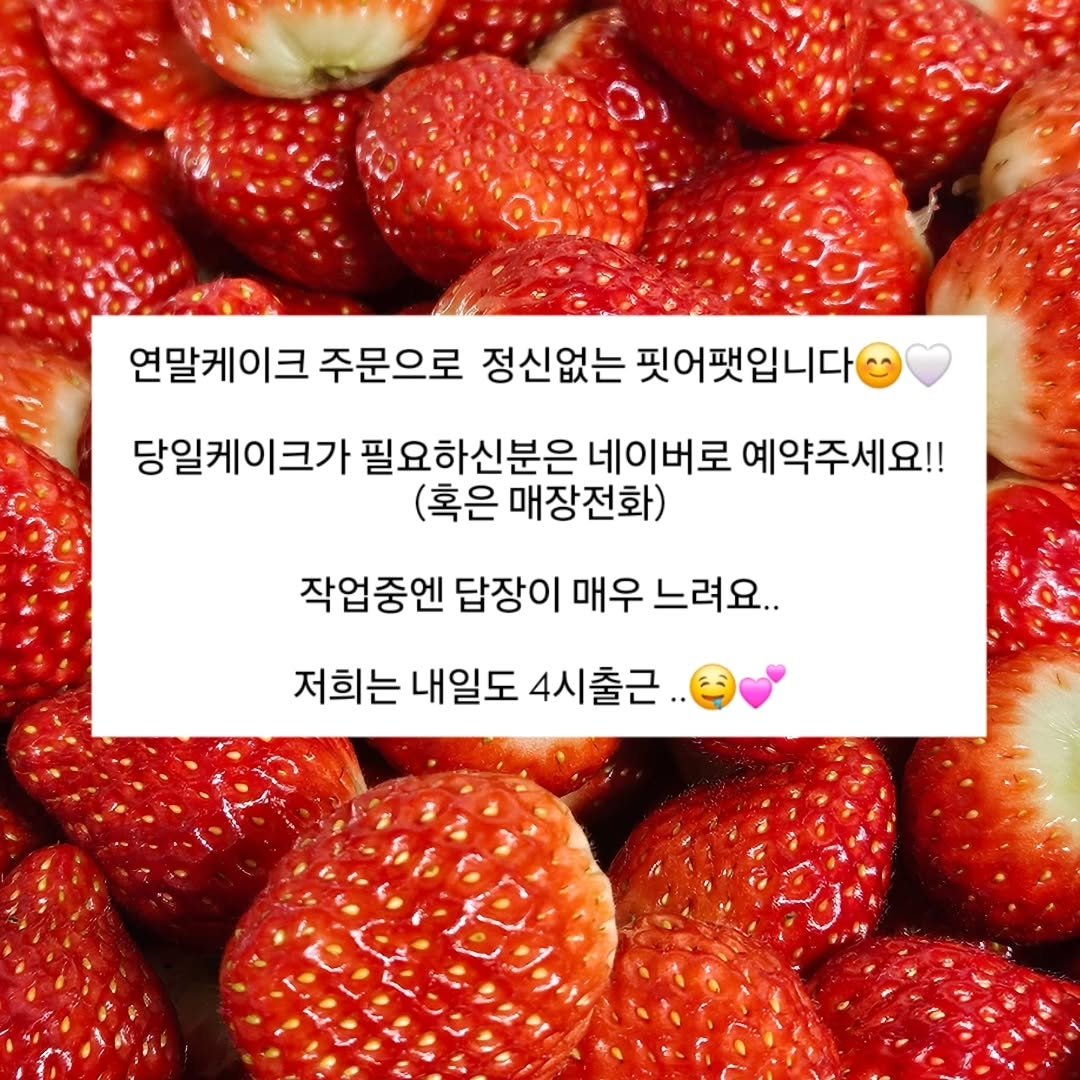 Photo by 🩷 봉담카페 | 핏어팻 | 봉담답례품 | 봉담디저트 | 봉담케이크 | 수제디저트 | 웨딩답례품 | 승진선물 🩷 on December 30, 2025. May be an image of strawberry, pie and text that says '연말케이크 주문으로 정신없는 핏어팻입니다 당일케이크가 필요하신분은 네이버로 예약주세요!! (혹은 매장전화) 작업중엔 중엔 답장이 매우 느려요. 느려 저희는 내일도 4시출근'.