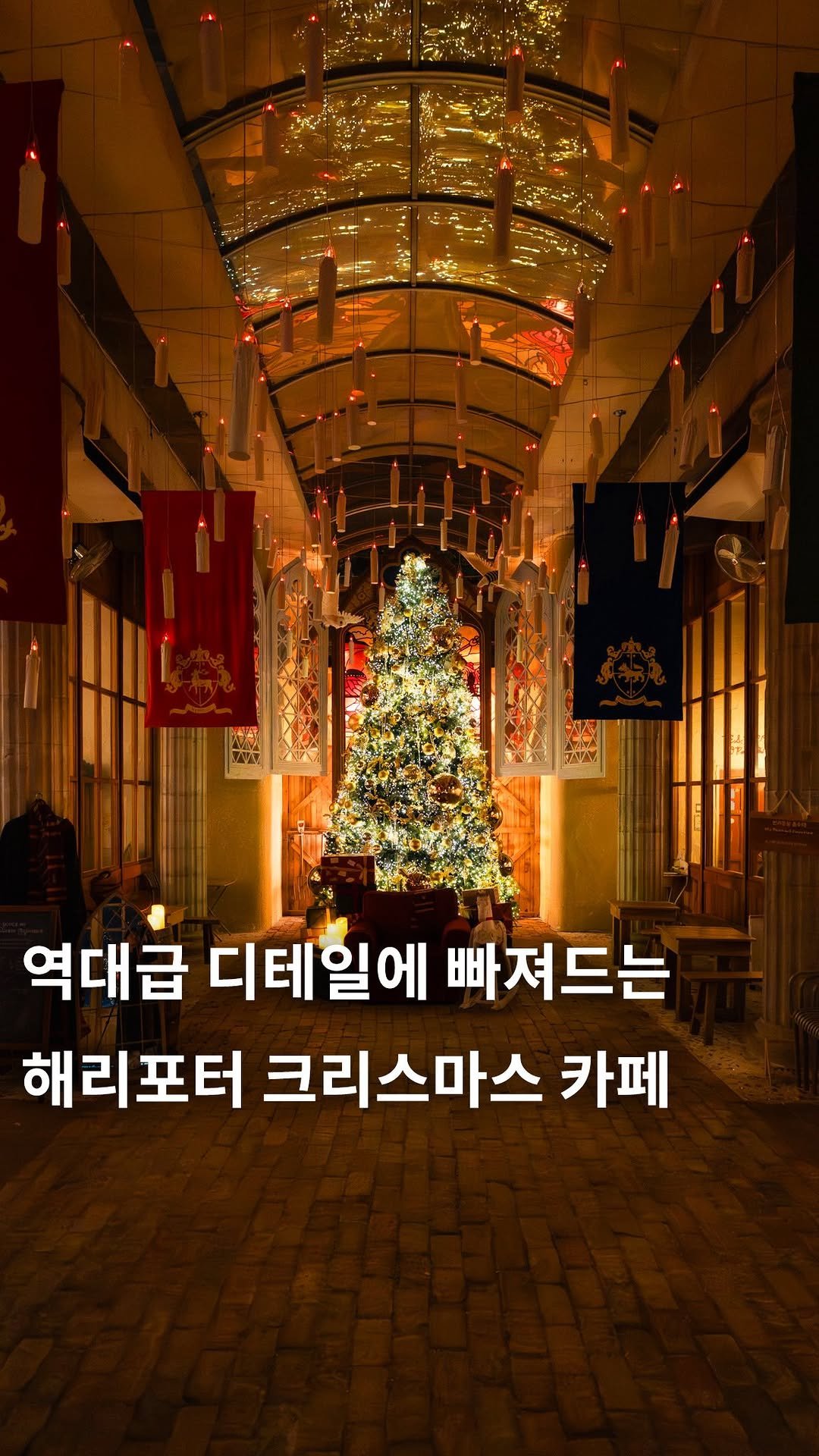cafe_4nyang 게시물 이미지: 마법 학교에 찾아온 해리포터의 특별한 크리스마스🎄

매년 연말, 대형 크리스마스...