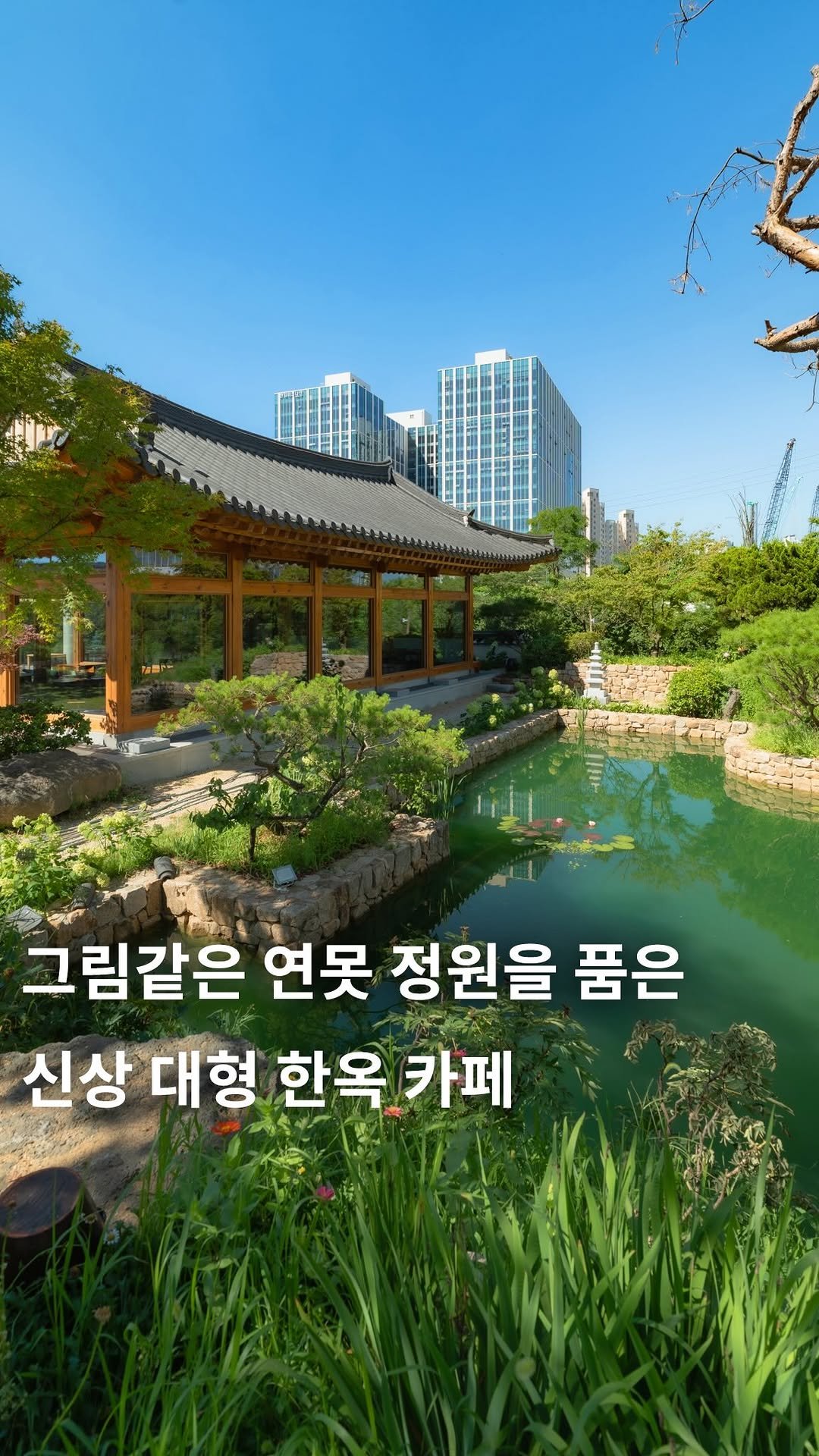 cafe_4nyang 게시물 이미지: 그림같은 연못+대형 한옥, 여기는...
한옥의 정취와 현대적 편안함이 공존하는...