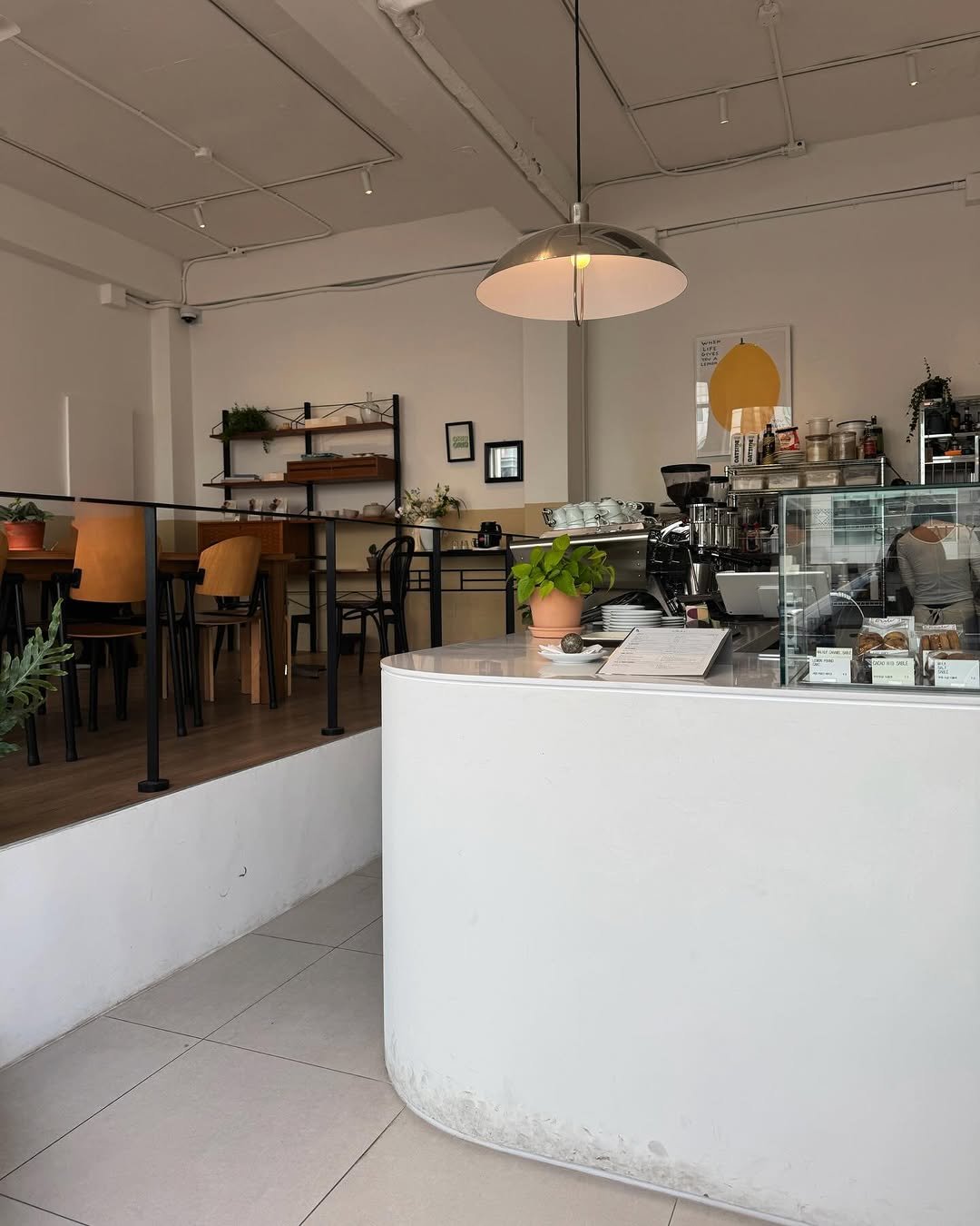 Photo by 카페 투어 : 𝚋𝚢 𝙹𝚒𝚖𝚗𝚒 on February 27, 2026. May be an image of cornflower and text.