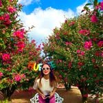 jeju_playme 프로필 사진