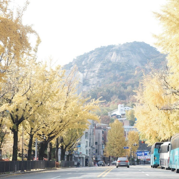 Photo by ekorre_cafe & grocery in 에코레 카페 앤 그로서리. May be an image of outdoors and text.