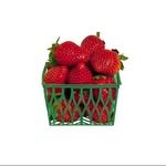 jampot.store 프로필 사진