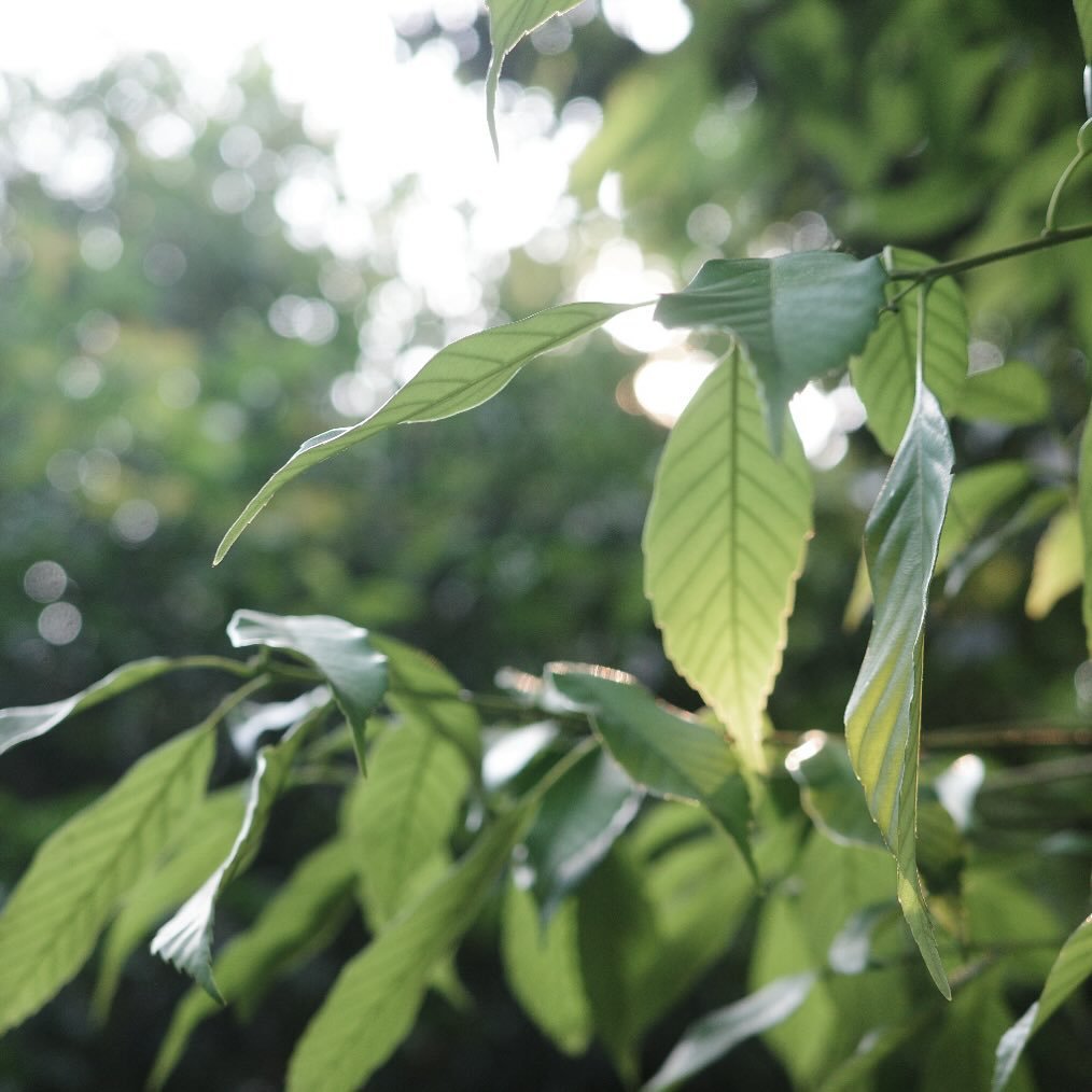 Photo by ekorre_cafe & grocery in 에코레 카페 앤 그로서리.