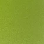 number_of_cases 프로필 사진