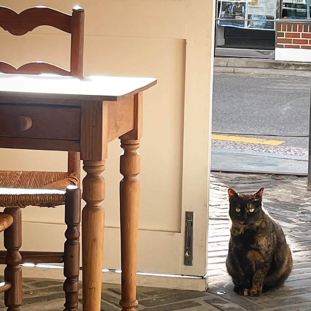 Photo by ekorre_cafe & grocery in 에코레 카페 앤 그로서리.