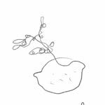 bo.ne__ 프로필 사진