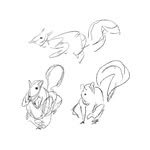 dotle.bat 프로필 사진