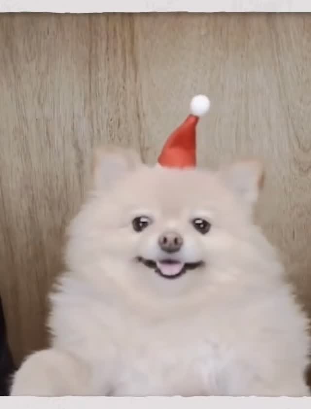 cafe_j_likeat__ 게시물 이미지: 안녕하세요 제이라이킷입니다!
올해안에 재오픈을 목표로 하고있었는데 계획이...