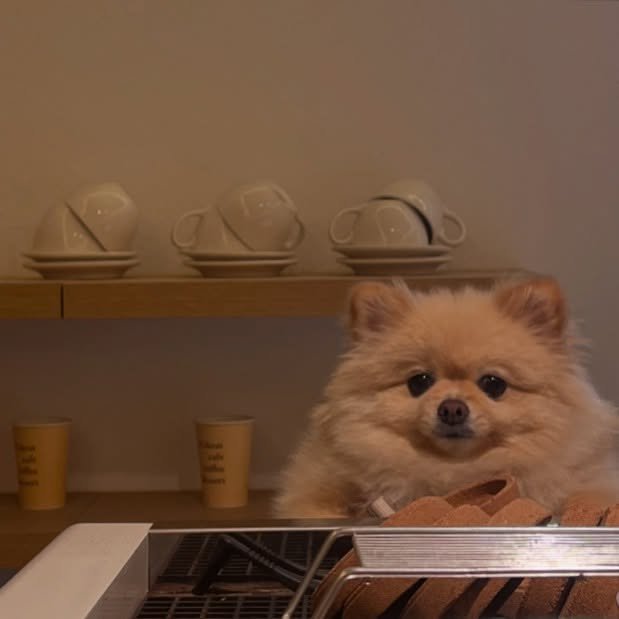 Photo by 제이라이킷ㅣ인천논현카페ㅣ소래포구카페ㅣ케이크맛집ㅣ인천애견동반카페 on April 04, 2025.