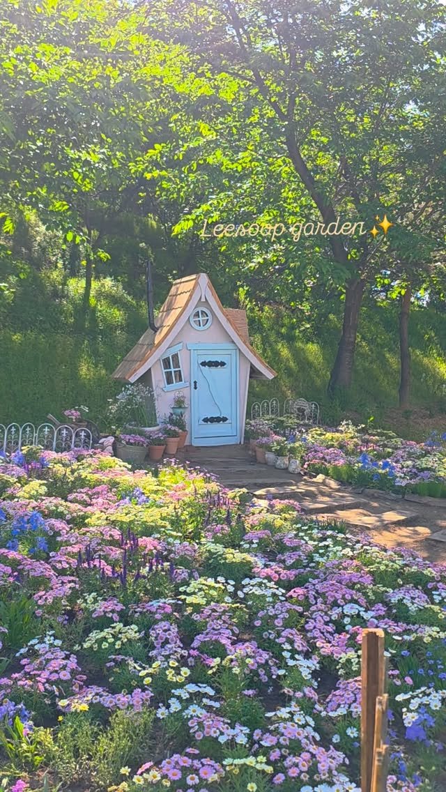 cafe_leesooop 게시물 이미지: 이번 봄은 데이지와 함께 
사랑스럽고 예쁜 가든도 보실 수 있습니다✨🌷🏡

데이지도...