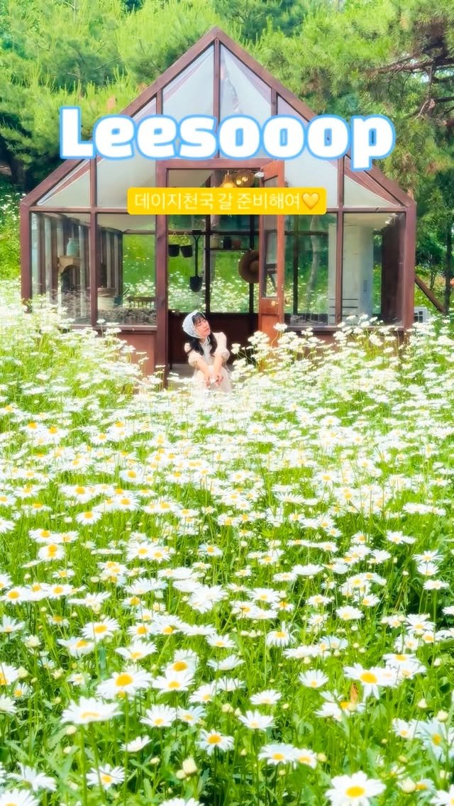 cafe_leesooop 게시물 이미지: 데이지하면 이숲, 이숲하면 데이지 바로...