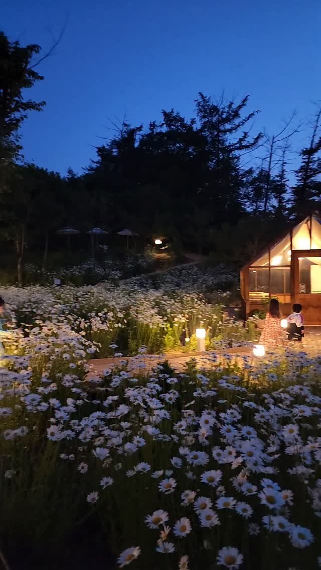 cafe_leesooop 게시물 이미지: 동화속 초여름의 밤🏡🧚🏻