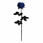 liyoliyo_coffee 프로필 사진