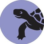 turtlebayrecords 프로필 사진