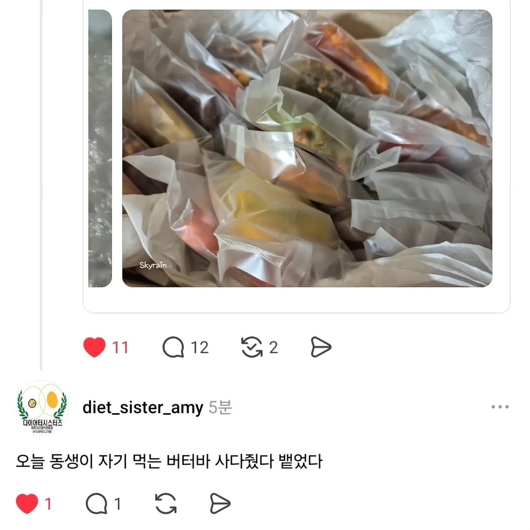 Photo shared by 양과자점 플레지르 (HUMPTY LUMPY HOUSE) on October 16, 2025 tagging @plaisirbaking. May be an image of sausage, plastic bag, durian and text that says 'Skyrain Skyr 11 12 2 다이버터시스터츠 P PORSLIS diet_sister_amy5 5분 오늘 동생이 자기 먹는 버터바 사다줬다 뱉었다 1 1'.