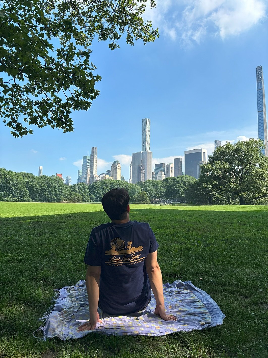 Photo by AI•테크•마케팅 | 칼릭스 on July 25, 2025. May be an image of 1 person, grass, Buckingham Fountain, skyscraper, picnic, park and text.