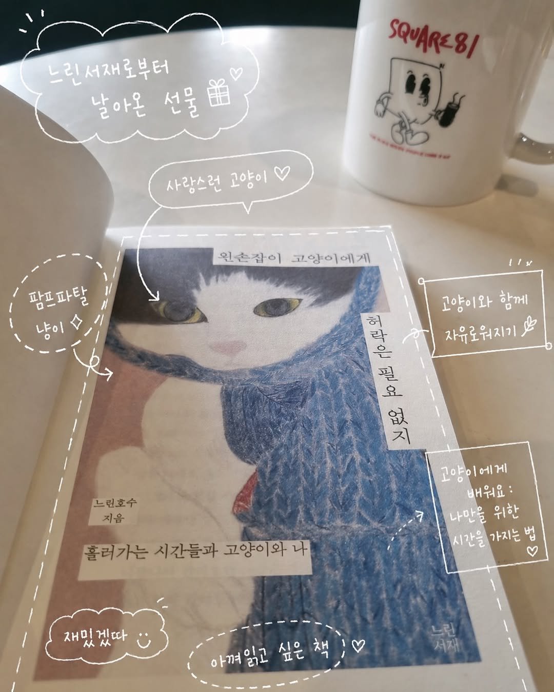 Photo by 느린서재 출판사 on April 27, 2026. May be an illustration of ‎coffee cup, diary, book, magazine and ‎text that says '‎느린서재로부터 날아온 선물 用 전물 SQUARE-8/ 円 사랑스런 사랑스런고양이 고양이 팜프파탈 원손잡이고양이에게 원손잡이 고양이에게 1V 느린호수 지음 고양이와 함께 종드공으교오 لم 공수모 자유로워지기 ko.r 直 ع 보픈오 지 고양이에게 배워요: 나만을 나만을위한 위한 시간을 가지는 시간을까지는법 법 7 흘러가는 시간들과 고양이와 나 재미 保州 从 재미게따 게따 아껴읽고 רוס, 싶은책 야겨임고싶은책] 시은 아껴 싶은 채 ٧ 느린 서재‎'‎‎.