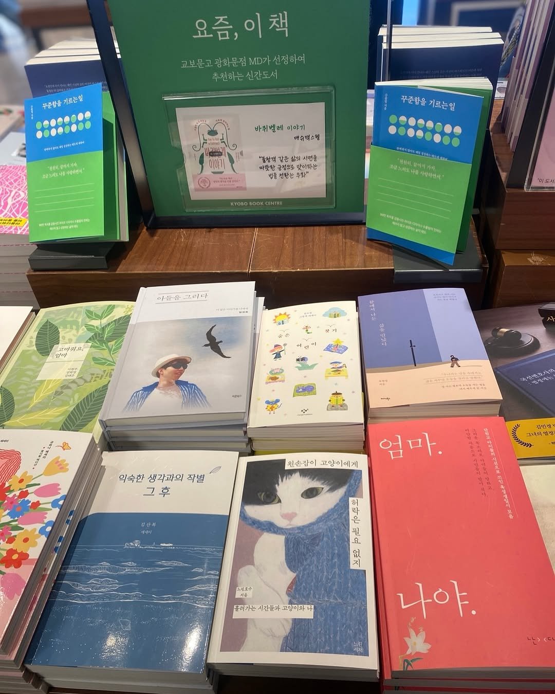 Photo by 느린서재 출판사 in 광화문 교보문고. May be an illustration of diary, book and text.