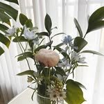 bamtorine._ 프로필 사진
