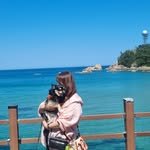 yun_suk_gom 프로필 사진