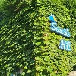seaside__hill 프로필 사진