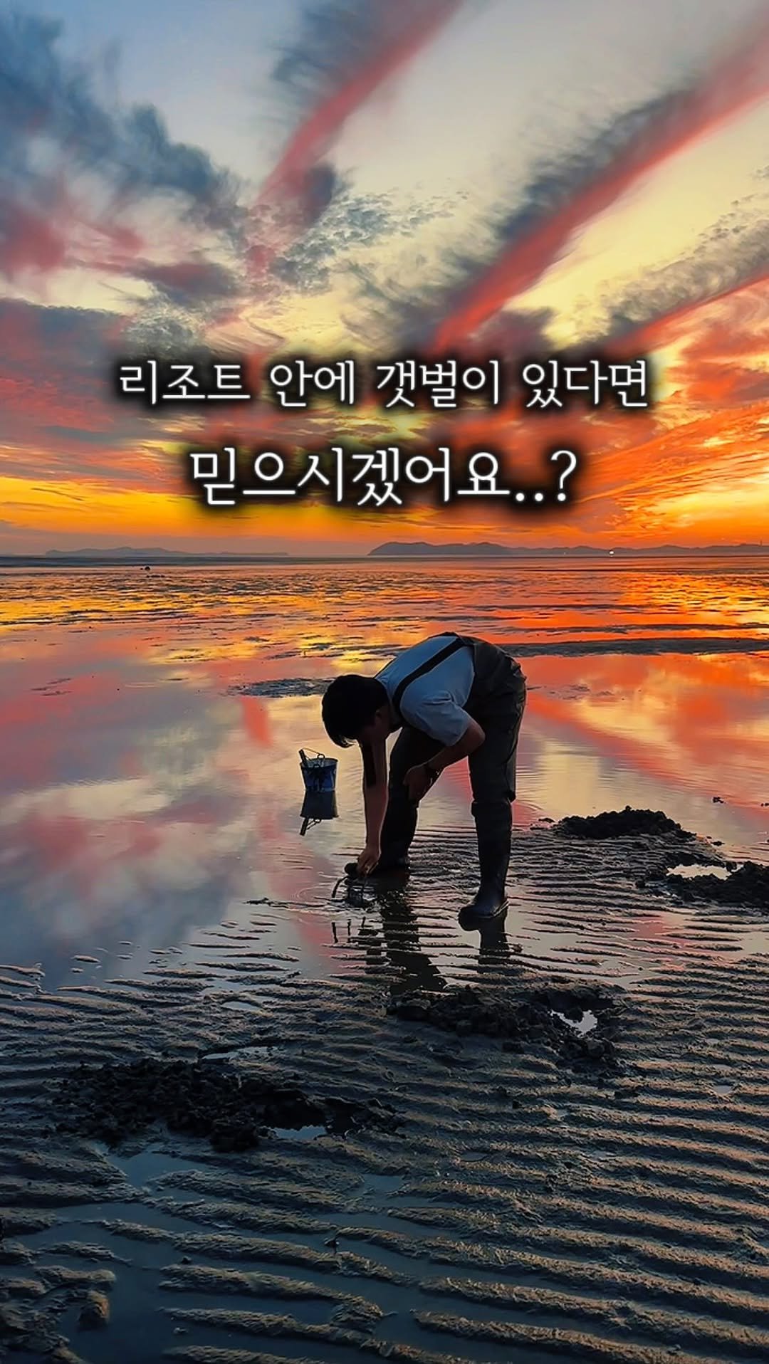 camping_club_ 게시물 이미지: 방문 열면 갯벌이 내 눈 앞에..?🌊🔥
장비까지 전부 무료 해루질 그냥...