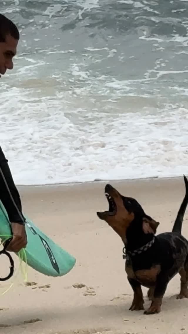 canal_uaradei 게시물 이미지: Tobias tocando o terror no pico 🤣🤣🤣

O irmão...