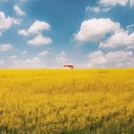 siny.ful 프로필 사진