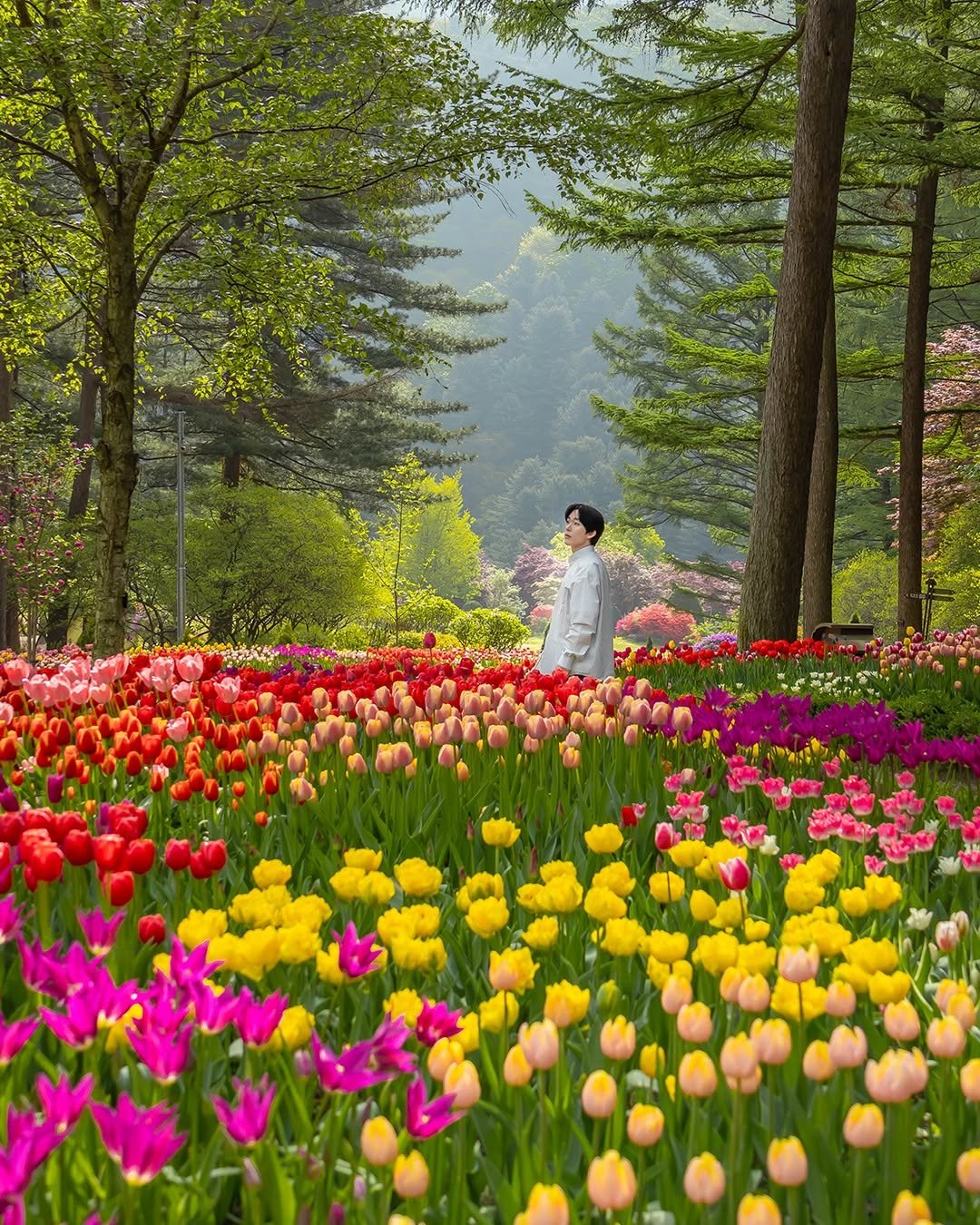 Photo shared by 캐논코리아 주식회사 on April 14, 2026 tagging @kwanoo_j. May be an image of flower, park and text.