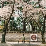 haeil_foto 프로필 사진