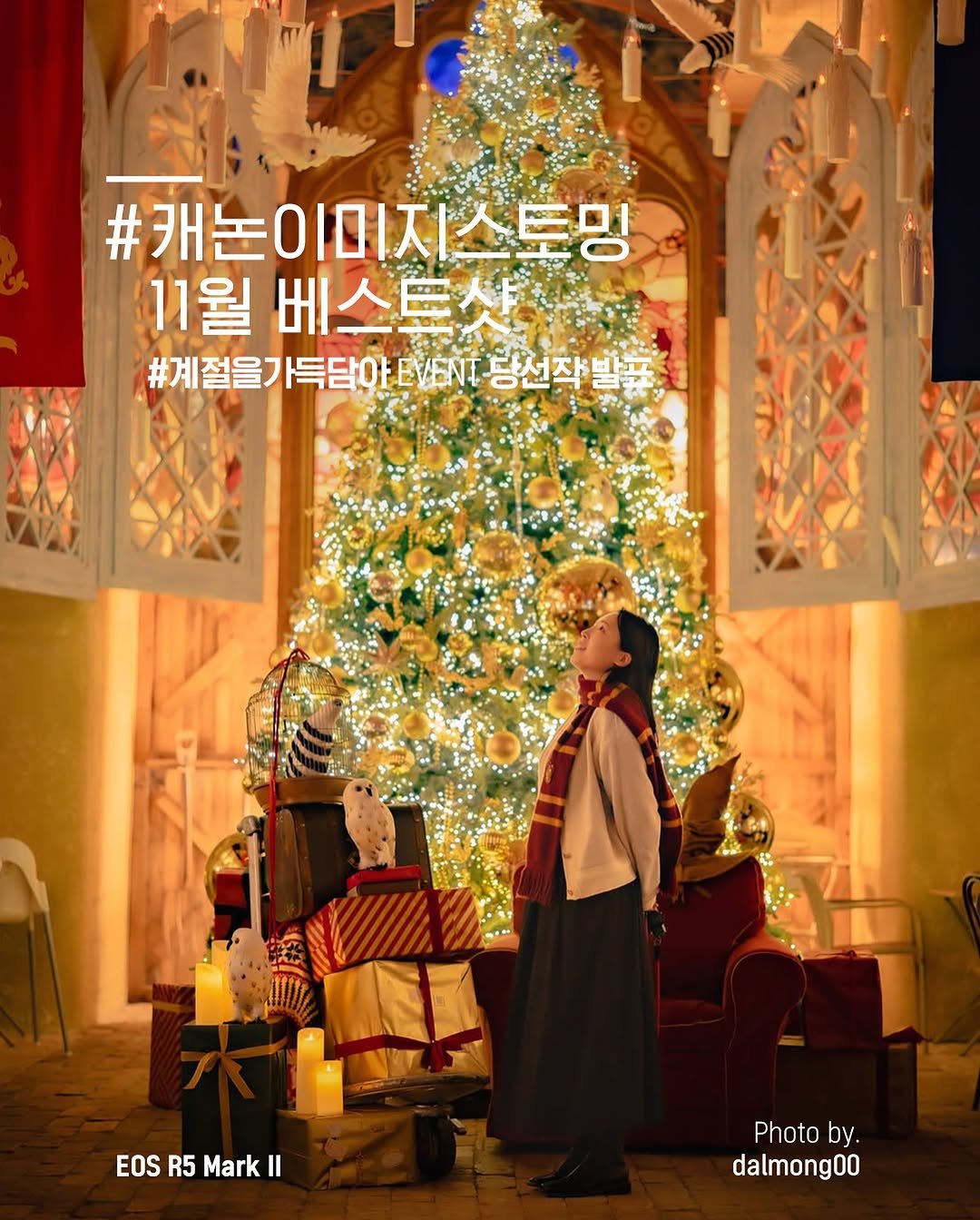Photo by 캐논코리아 주식회사 on November 25, 2025. May be an image of christmas tree, poster, magazine and text that says '#캐논이미지스토밍 이미지스트 스토밍 .존이미지 11월 出人無人 #계절을가득담아EVEN 당선작발꿀 EOSR5Mark EOS R5 Mark 1 Photo by. dalmong00'.