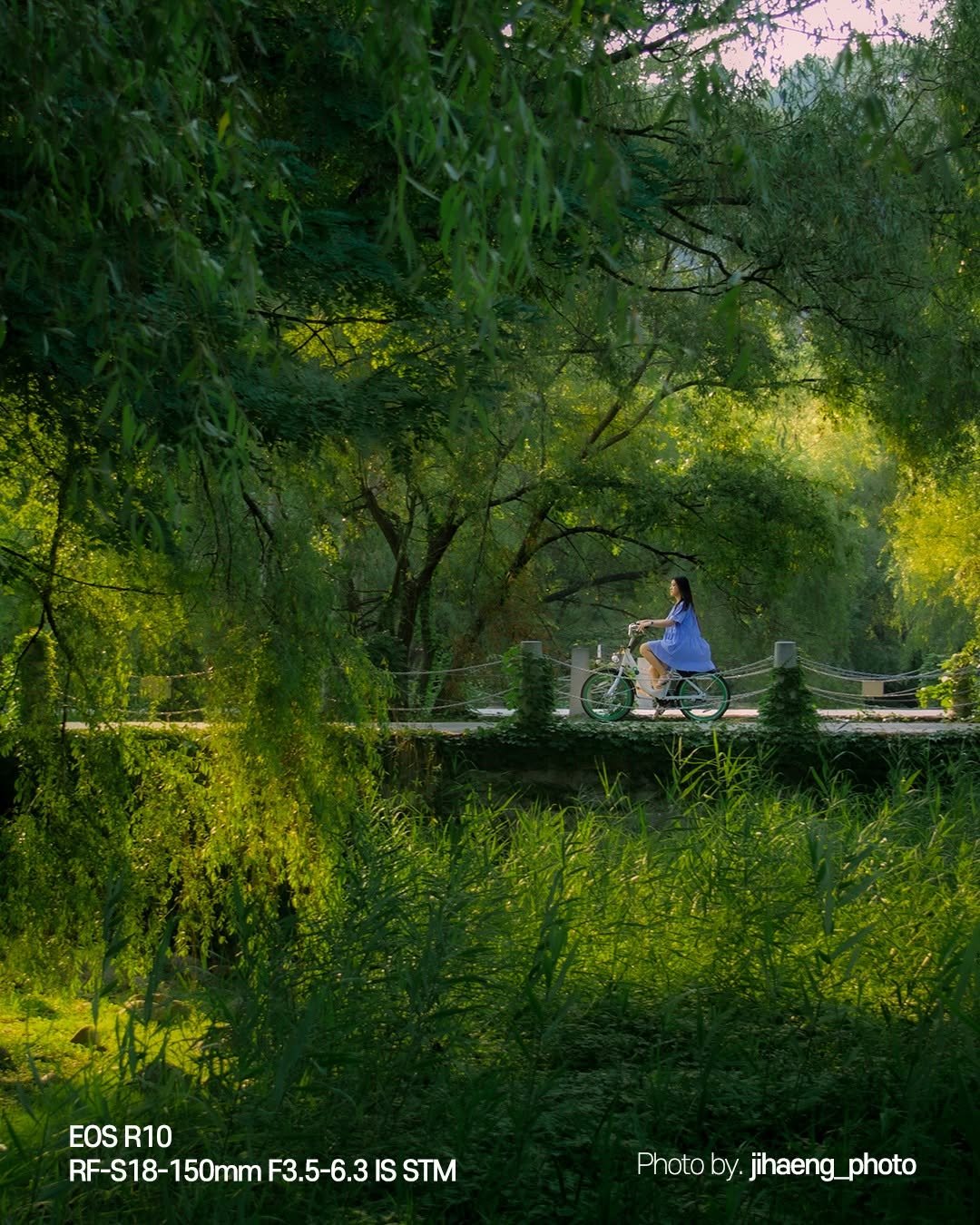 canonkorea 게시물 이미지: 초록이 짙어지는 계절🌿

나무 사이로 스며드는 빛과
숲길을 지나는 조용한...