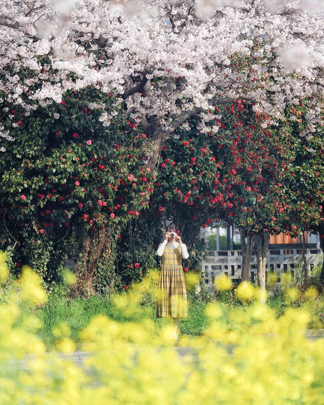 canonkorea 게시물 이미지: #캐논이미지스토밍 4월...