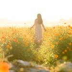 sophie_phj 프로필 사진