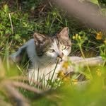 1cm_moment 프로필 사진