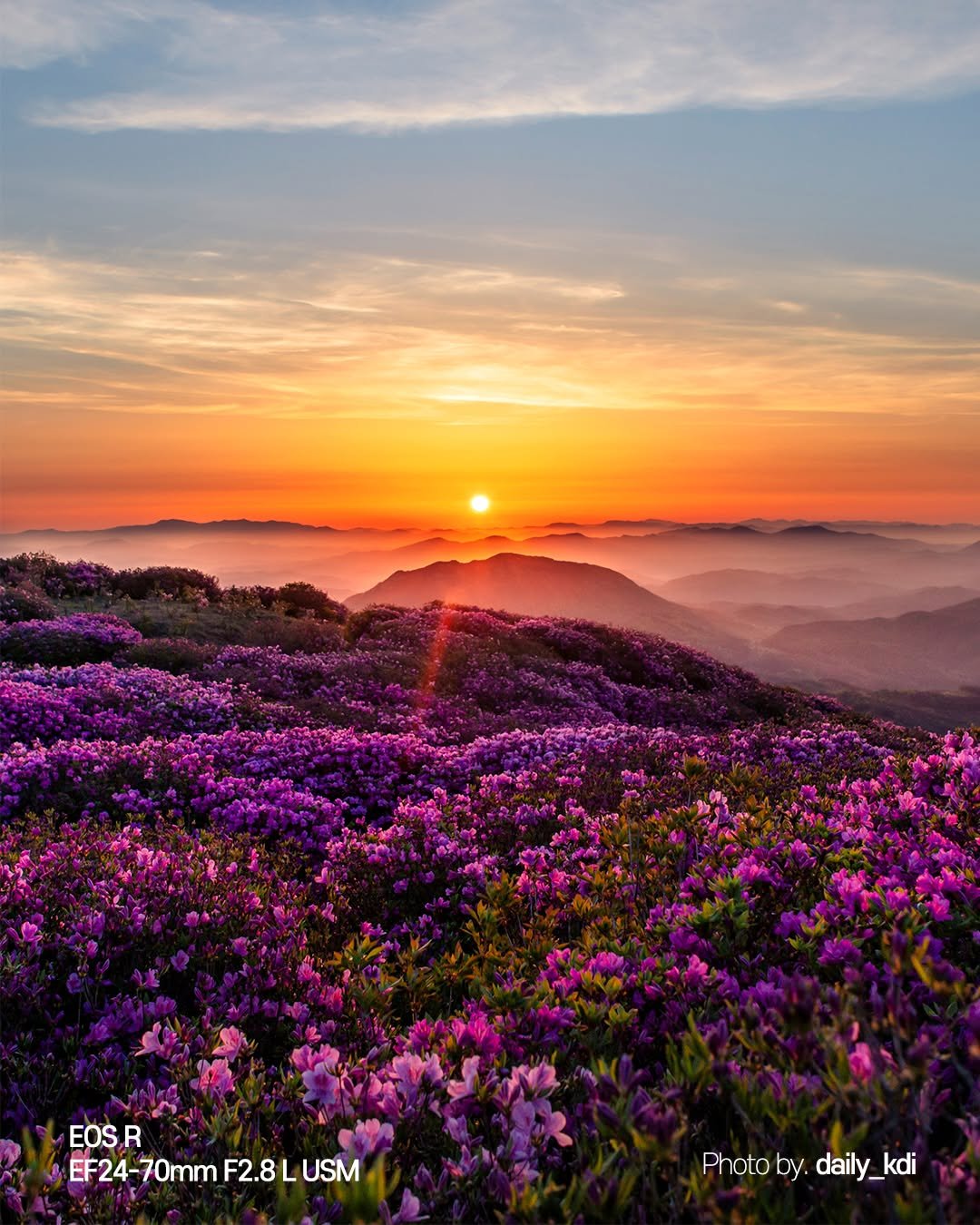 Photo by 캐논코리아 주식회사 on April 28, 2026. May be an image of flower, nature and text that says 'EOS EOSR R EF24-70mm EF24-70mmF2.8LUSM EF24 F2.8LUSM F2.8L F2. USM Photoby.daily_kdi Photoby Photo by. daily daily_kdi _kdi'.
