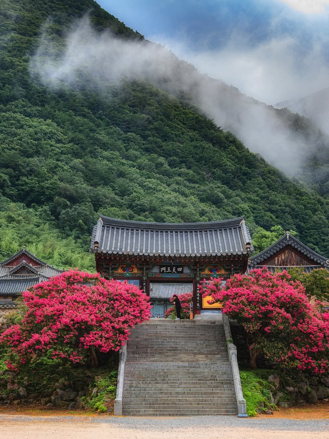 Photo shared by 캐논코리아 주식회사 on August 10, 2025 tagging @daily_kdi. May be an image of 1 person, temple, outdoors, Gyeongbokgung Palace and text.