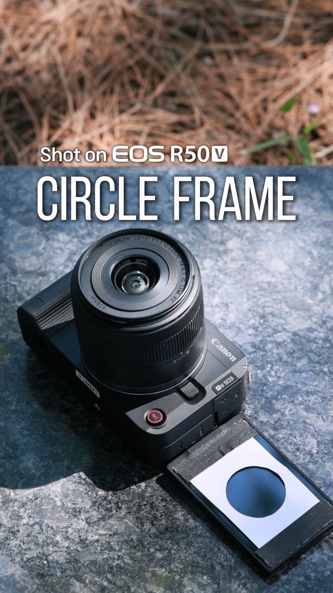 canonkorea 게시물 이미지: 동그라미 발견! 찰칵📸

다른 공간, 다른 피사체에 통일감을 주는 방법
같은 모양의...