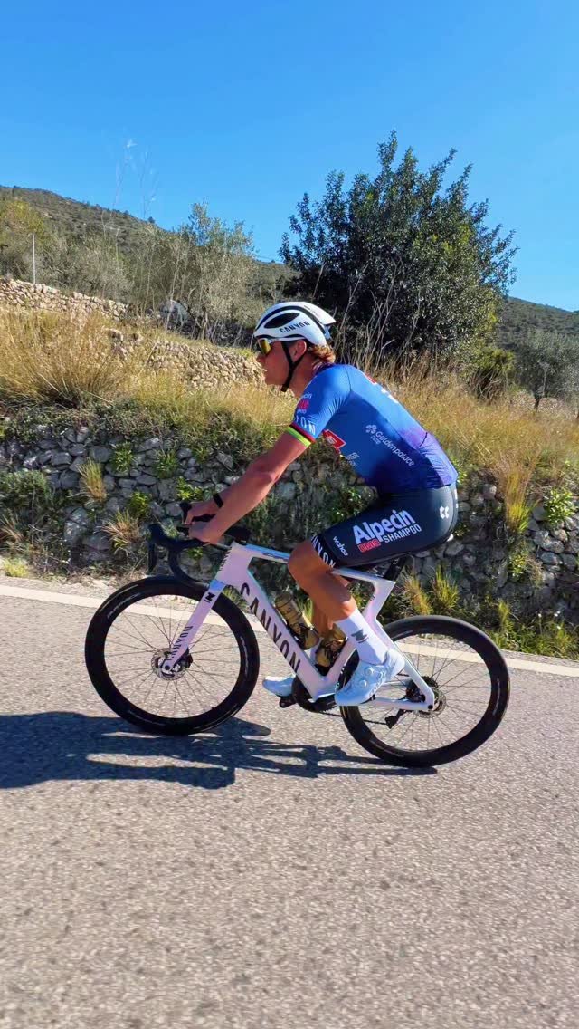 canyon 게시물 이미지: That 1 guy who randomly launches for no reason..