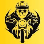 bigbearbangalore 프로필 사진