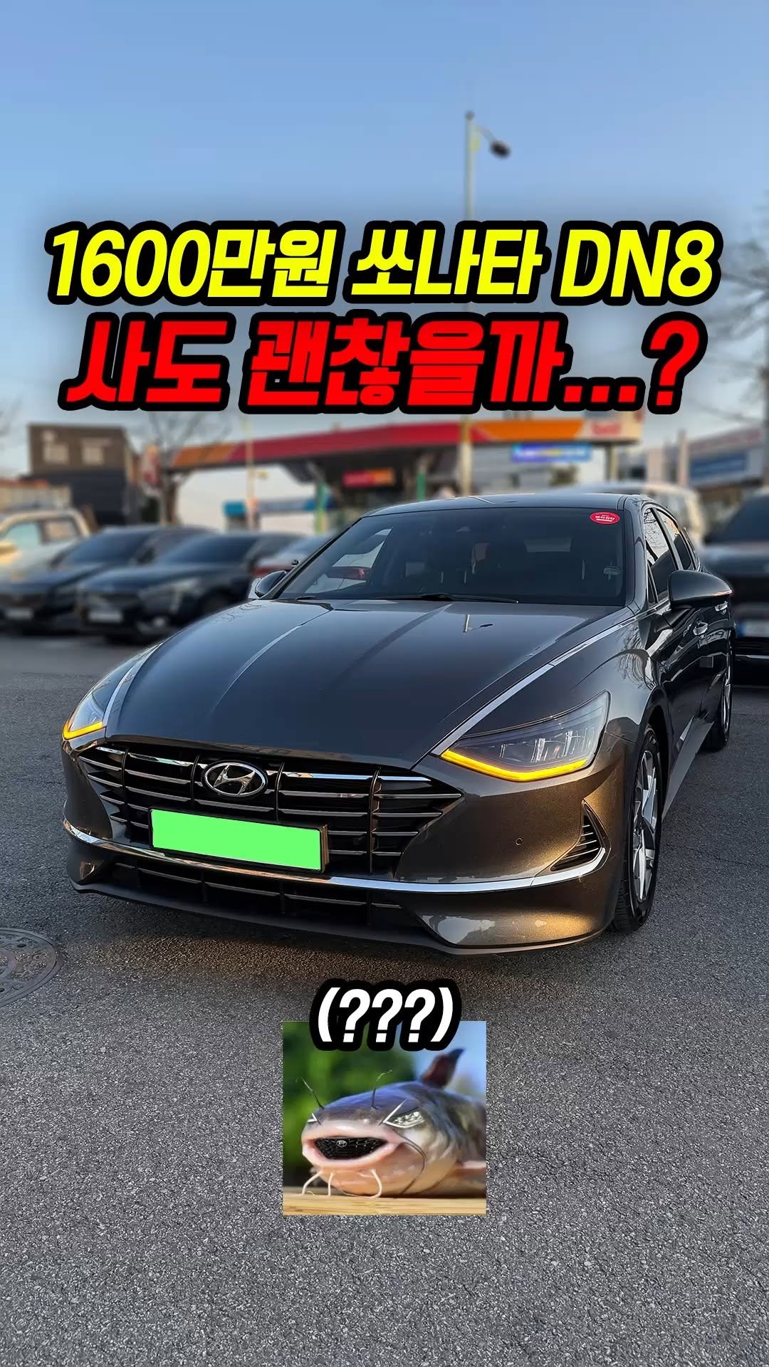 car_jin_sung 게시물 이미지: 80% 감가쳐맞은 쏘나타 DN8 사도 괜찮을까?

★최저금리 할부...