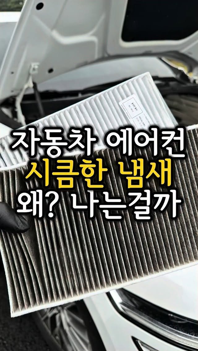 carong_korea 게시물 이미지: 에어컨 냄새에 필터를 바꿨는데도 냄새가 계속 난다면?🤔

공조기 내부를...
